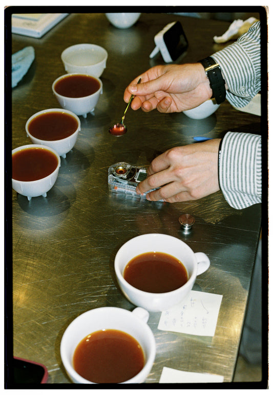 How to Taste Coffee Like a Professional (Cupping Guide)