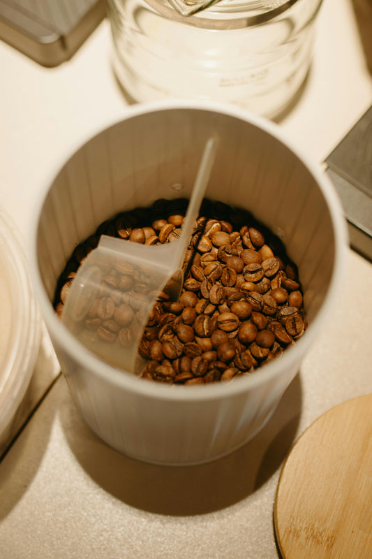 How to Store Coffee Beans to Keep Them Fresh Longer