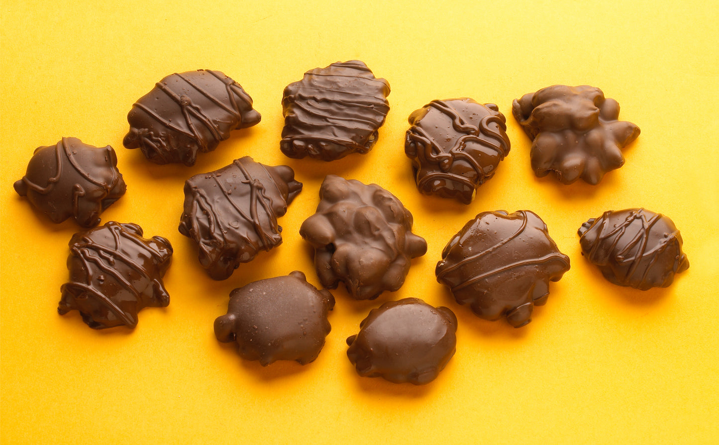 Chocolate turtles arranged on a yellow background
