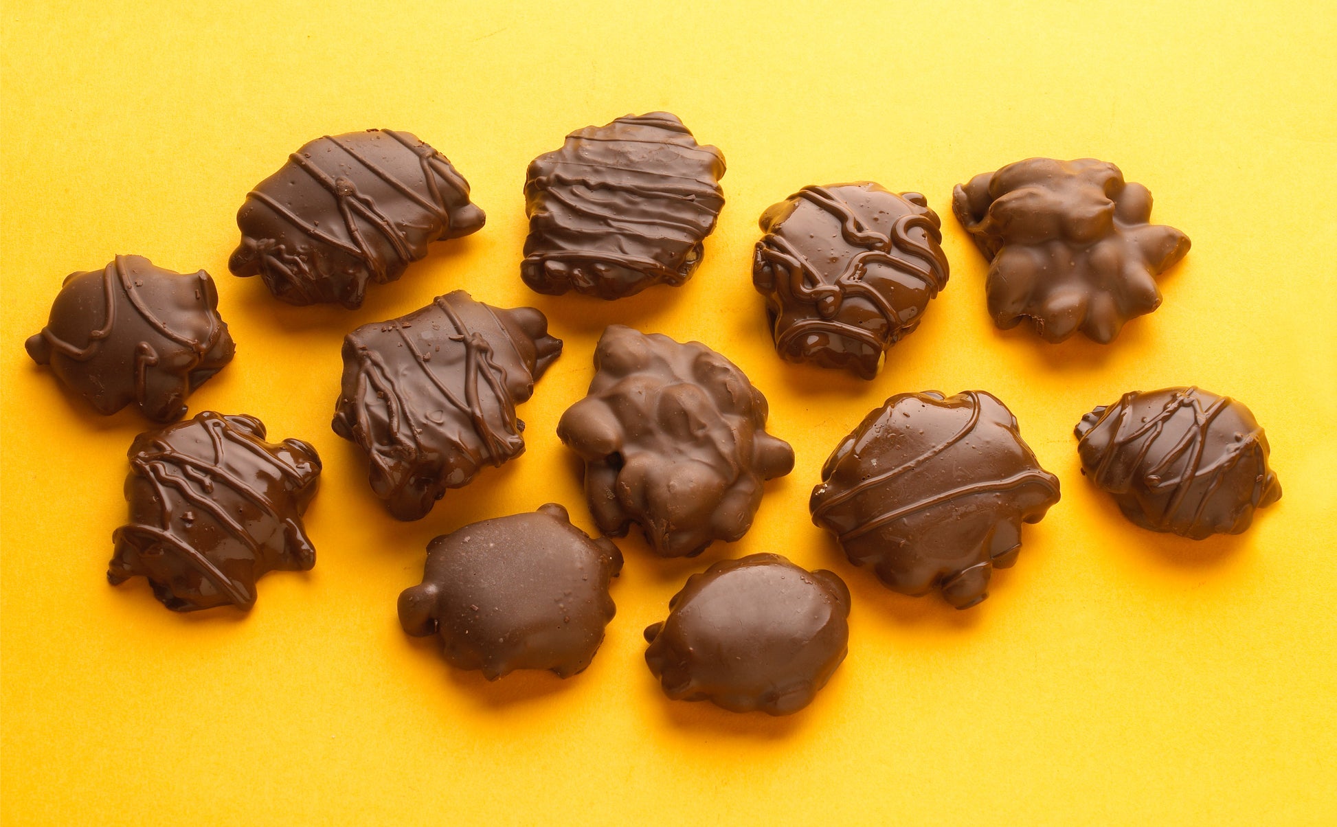 Chocolate turtles arranged on a yellow background